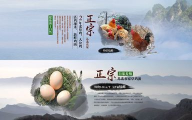 綠色田園，健康生活——優質農產品展